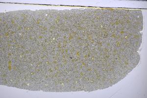 Plane Polarized, E48341