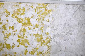 Plane Polarized, E48382