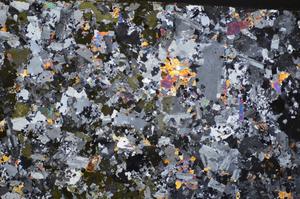 Cross Polarized, E48394