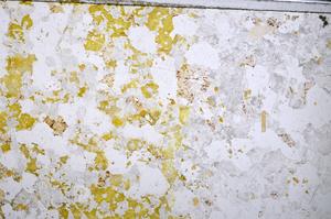 Plane Polarized, E48394