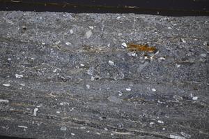 Cross Polarized, E48433/A