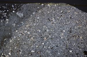 Cross Polarized, E48434/B