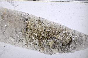 Plane Polarized, E48435