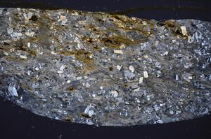 Cross Polarized, E48436