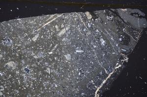 Cross Polarized, E48437