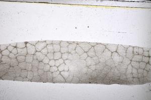 Plane Polarized, E48464