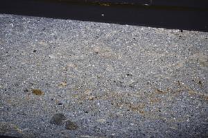 Cross Polarized, E48481