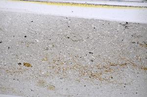 Plane Polarized, E48481