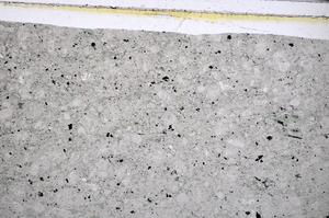 Plane Polarized, E48482