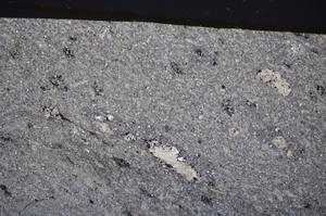 Cross Polarized, E48483