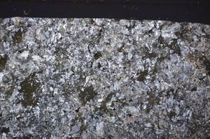 Cross Polarized, E48495