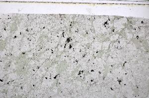 Plane Polarized, E48495