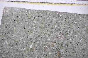 Plane Polarized, E48497