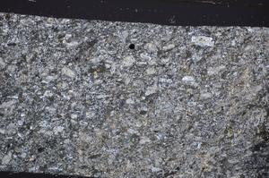 Cross Polarized, E48499