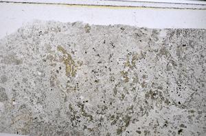 Plane Polarized, E48503