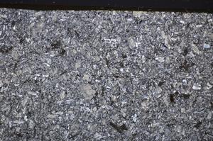 Cross Polarized, E48504