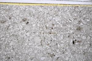 Plane Polarized, E48504