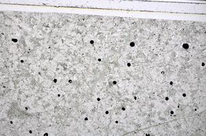 Plane Polarized, E48505