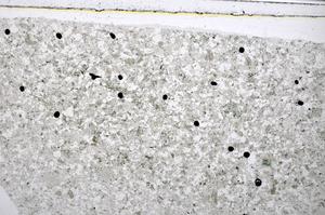 Plane Polarized, E48506