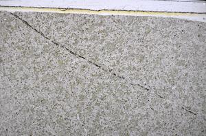 Plane Polarized, E48508