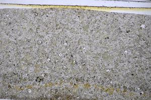 Plane Polarized, E48509