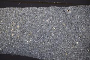 Cross Polarized, E48510