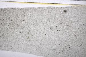 Plane Polarized, E48510