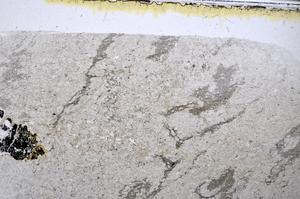 Plane Polarized, E48516