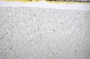 Plane Polarized, E48521