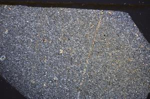 Cross Polarized, E48523