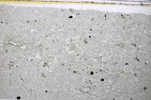 Plane Polarized, E48526