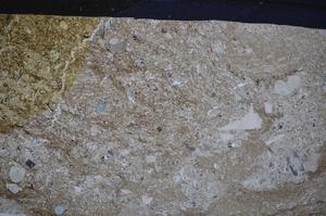 Cross Polarized, E48527