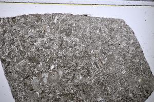 Plane Polarized, E48553