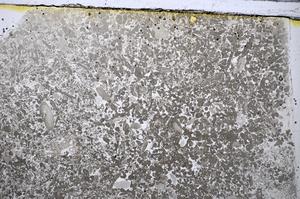 Plane Polarized, E48554