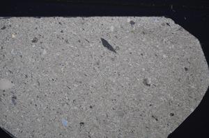 Cross Polarized, E48555