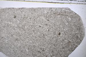 Plane Polarized, E48555