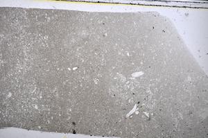 Plane Polarized, E48556