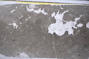 Plane Polarized, E48557