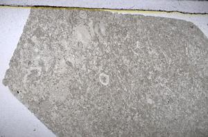 Plane Polarized, E48564