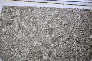 Plane Polarized, E48565