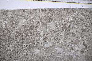 Plane Polarized, E48576