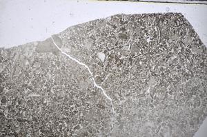 Plane Polarized, E48577