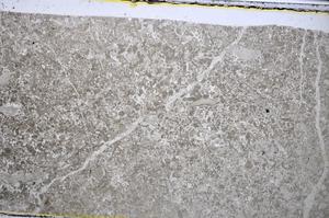 Plane Polarized, E48578