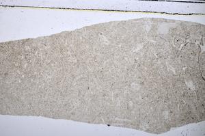 Plane Polarized, E48580