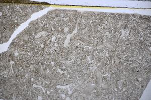 Plane Polarized, E48581