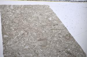 Plane Polarized, E48582