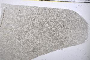 Plane Polarized, E48583
