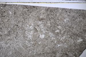 Plane Polarized, E48585