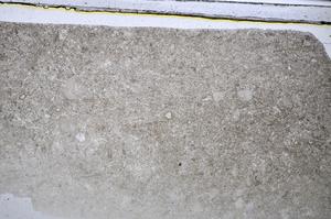 Plane Polarized, E48588