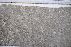 Plane Polarized, E48589